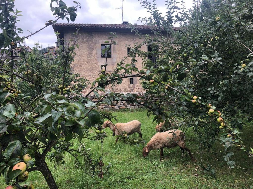 La Casona Del Xerron Villa El Condado Екстериор снимка